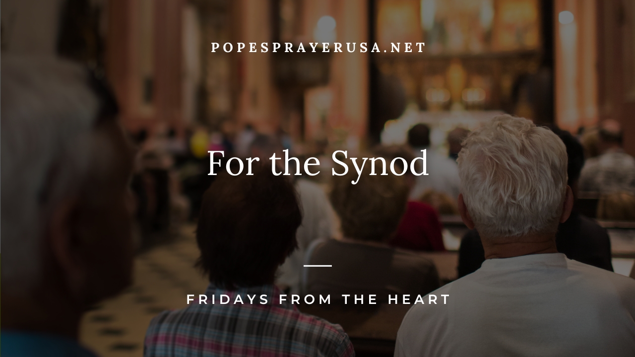 For the Synod – Fridays from the Heart