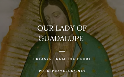 Our Lady of Guadalupe