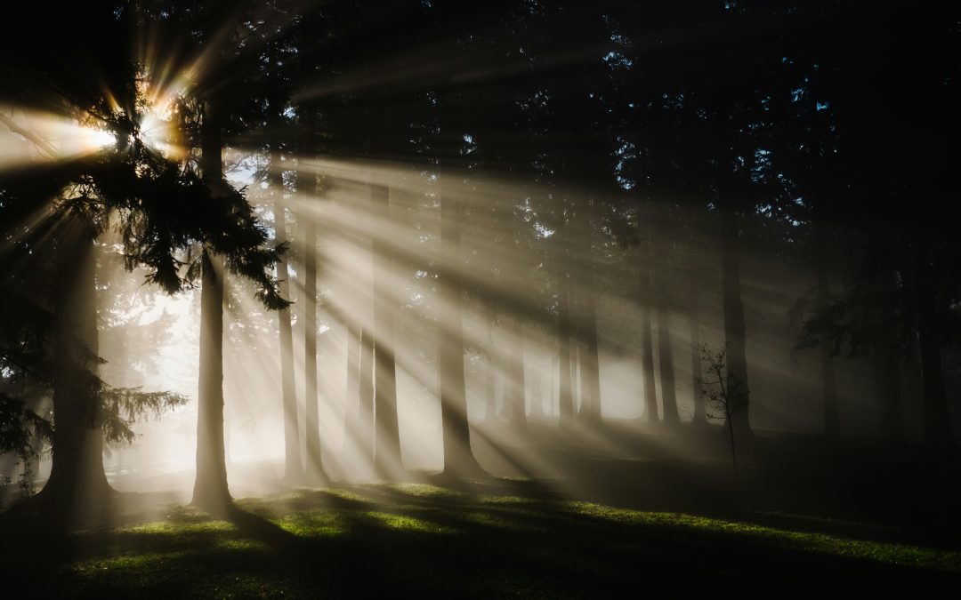 A light in the darkness