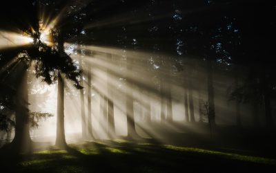 A light in the darkness