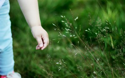 Monthly Reflection – February 2026