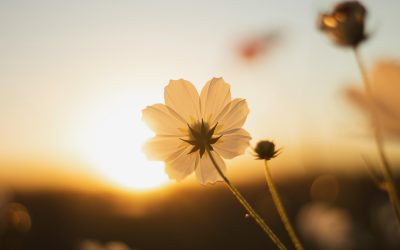 Monthly Prayer – March 2026