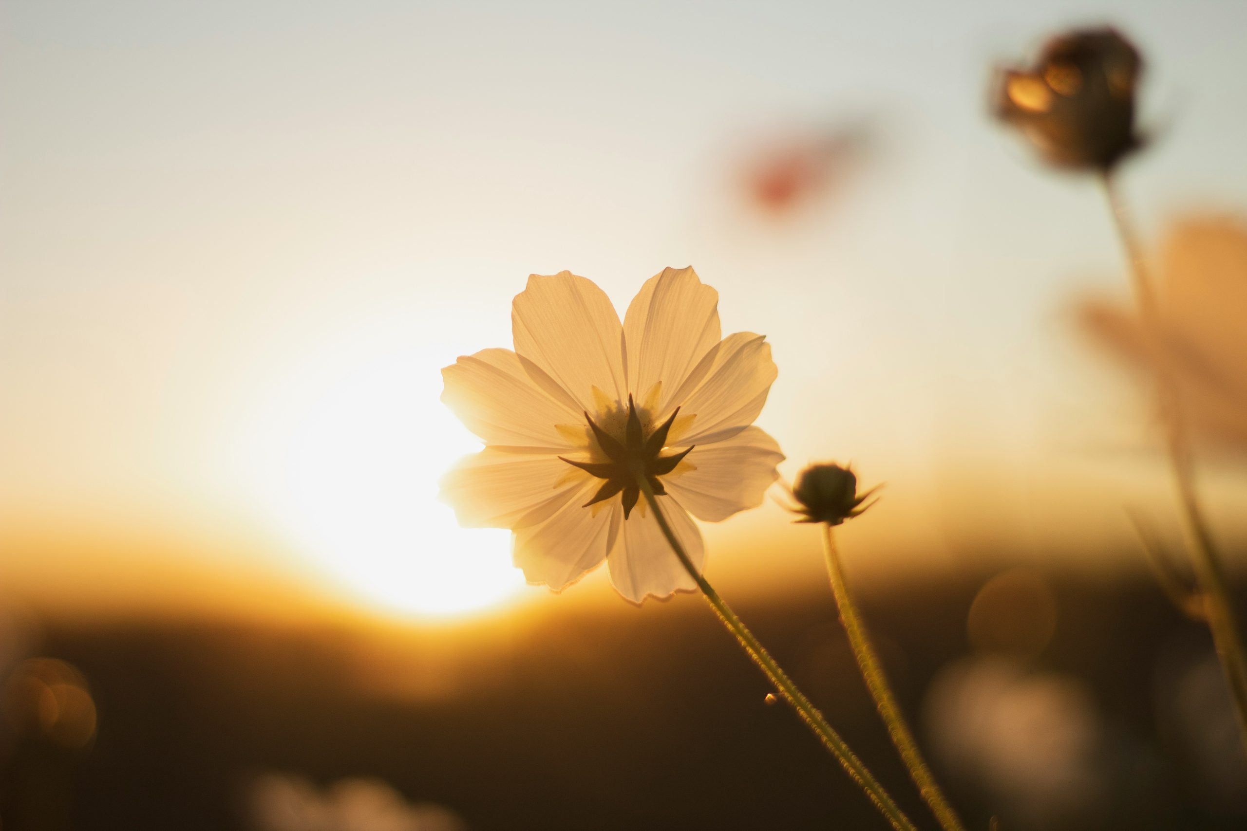 Monthly Prayer – April 2026